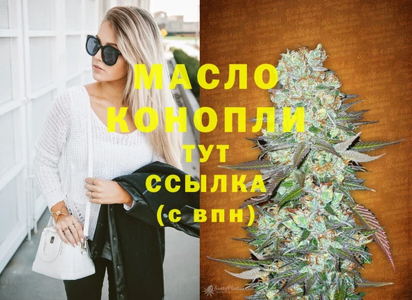 ECSTASY Лагань