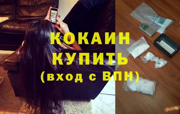 ECSTASY Лагань