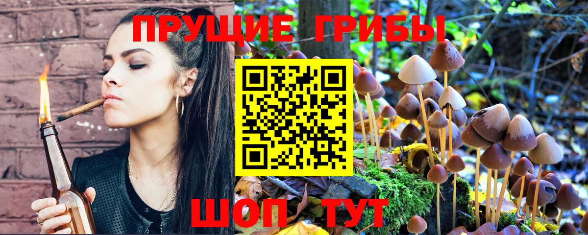 Псилоцибиновые грибы прущие грибы  где купить   Урай  Вход с VPN 