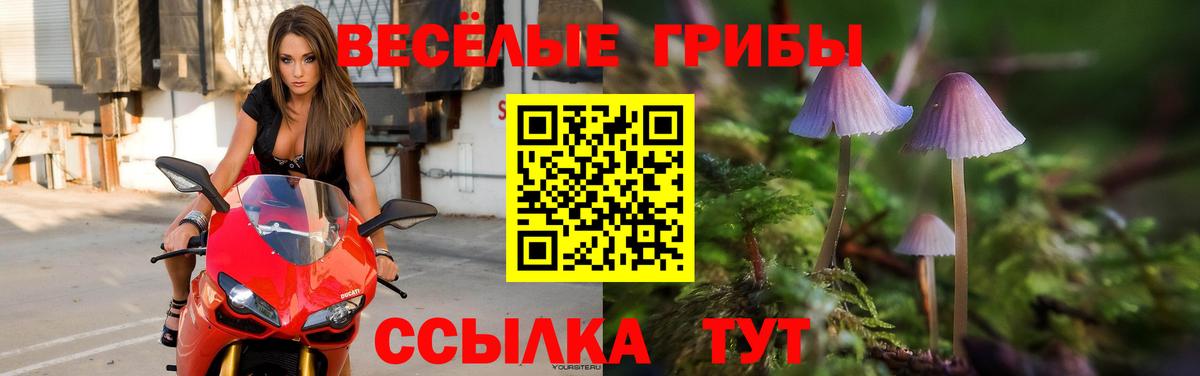 Галлюциногенные грибы мухоморы  Урай  Галлюциногенные грибы Psilocybe 